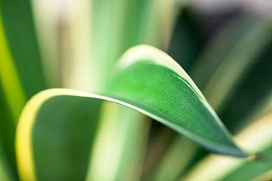 《生化危机6》将复刻登陆Xbox Series和PS5平台